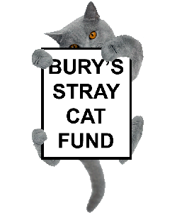 Bury's Stray Cat Fund